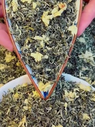 茉莉飘雪浓香型特级茉莉花茶耐泡花香广西横县手工茶叶罐装500g#茶人茶事茶生活 #今天你喝茶了吗 #茉莉花茶 #茉莉飘雪
