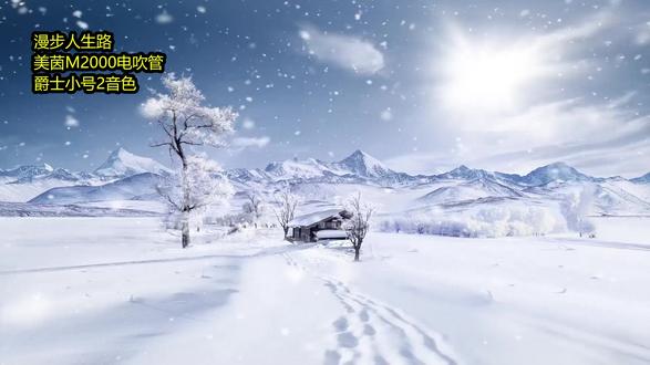 漫步人生路,美茵M2000电吹管,爵士小号2音色