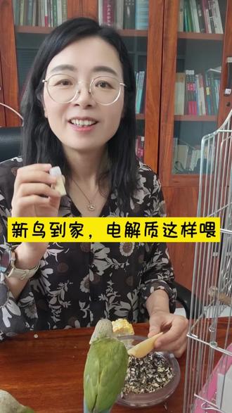 #鹦鹉 #手养小太阳 #养鸟必看 #鹦鹉直播间 #鹦鹉电解质