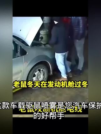 视频同款点击下单