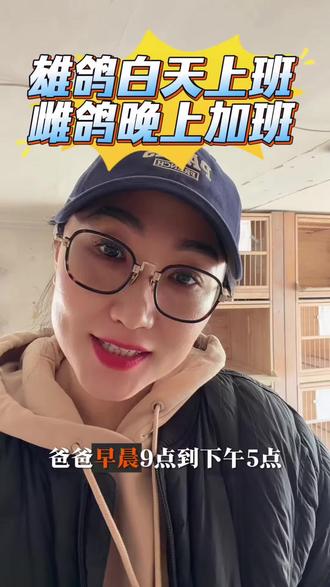 为什么雄鸽
白天孵蛋🐣#信鸽赛鸽 #赛鸽比赛 #小知识大作用 #行业冷知识科普