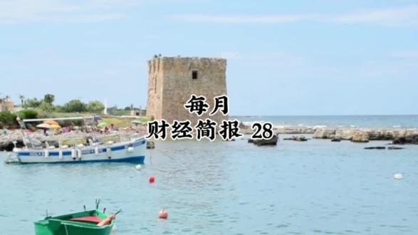 每月
财经简报 28
