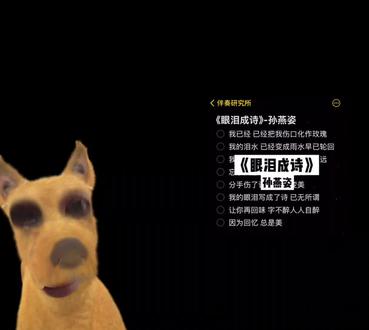 和 @伴奏研究所 一起 #合拍 ##分享校园碎片 #眼镜有点糊 #大学生的独处时刻
