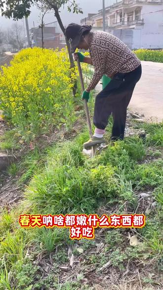 #又到了吃野菜的季节了 #创作者中心 #创作灵感 野小蒜正吃季节,妈妈简单做法好吃下饭的很@ Dou十小助手#分享家乡美食 #乡村味道