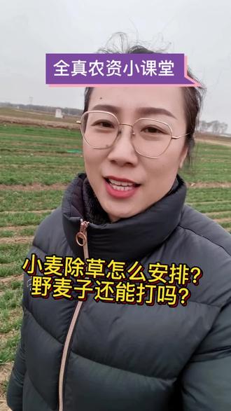 『全真农资小课堂』小麦除草剂怎么安排?野麦子还能打吗?#三农#服务三农支持三农 #小麦除草剂 #野麦子