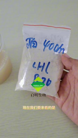 白僵菌常年现货供应,分两种剂型,一种水溶剂型的含量10—400亿/g,一种常规剂型10-1000亿/g。#白僵菌 #白僵菌厂家 #固态发酵