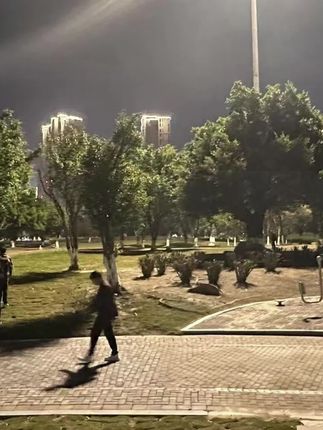 姿挺美蝶形垫腰加高加大坐护腰座垫透气座椅垫座垫办公神器靠背垫#靠背垫 #坐垫 #护腰坐垫 #办公室坐垫 #加高加大坐垫