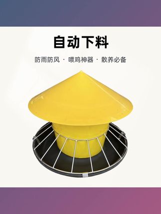 装一次料可以喂很多天家禽养殖必备神器#散养鸡 #喂鸡咯 #家禽养殖 #喂鸡神器 #养鹅