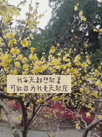 我每天都想歇着
可能因为我是天蝎座#天蝎座