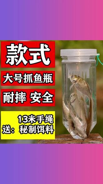 儿童户外塑料抓鱼瓶倒须不漏鱼虾池塘捉亲子鱼公园小溪工具周末 #儿童抓鱼塑料瓶 #倒须不漏鱼虾瓶 #亲子户外工具 #公园小溪捉鱼器 #户外玩具