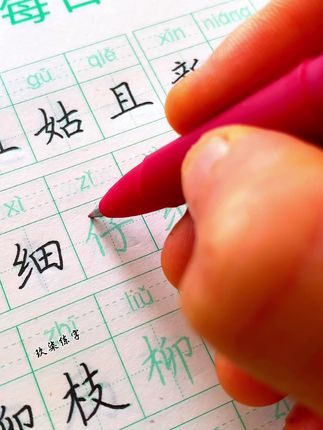 暑假练字#练字帖 #同步生字 #小学语文 #练字 #暑假