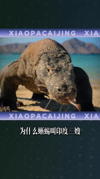 印度困局,贫富差距逼出奇葩产业链,这到底是个怎样的国家? #真才实学计划 #燃起来了大国重器 #掘金计划2026 #财经#印度