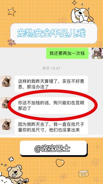 宠物出行安全稍有不慎,便是和亲密的爱宠永远的告别,宠物出行和人一样重要!选择宠宝巴士为您的爱宠保驾护航#宠宝巴士#宠物出行#宠物托运#宠物爱心服务#爱心