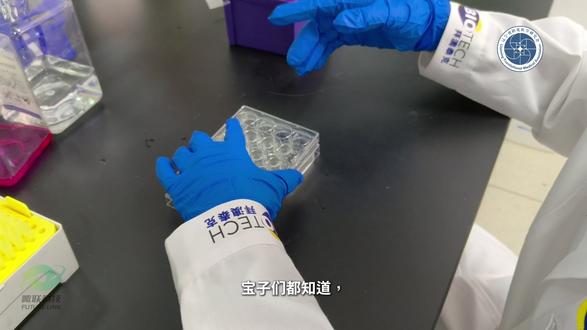 细胞刮刀的平替小技巧 #细胞实验 #实验 #科研 #细胞刮刀