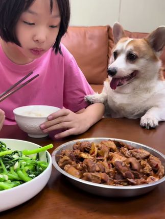 一个眼神不够的话…. 那就上jio jio 啦😂🙈🙈#家有馋狗 #一看就是干饭狗 #小柯基