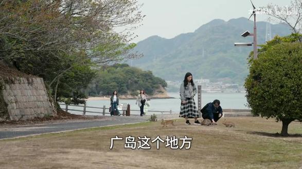 游客只知兔子可爱,不知背后的血腥历史