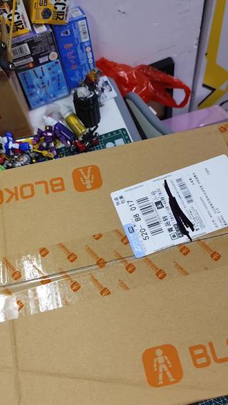 #布鲁可限定 #布鲁可积木 昨天下单今天就到,这速度真快。