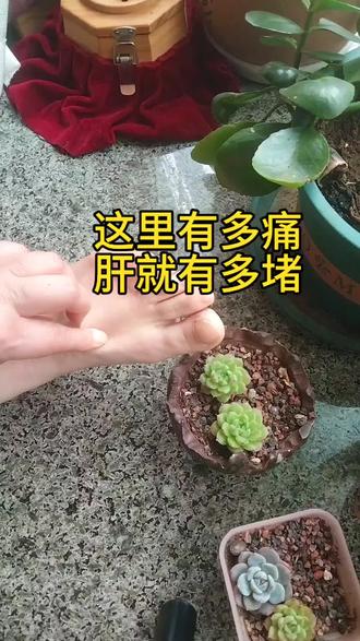 #穴位 #中医智慧 #健康养生 #每日分享 #居家锻炼 @DOU+上热门 @DOU+小助手 一起来感受穴位的神奇吧