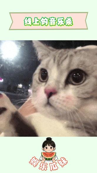 音乐社交的新玩法#Qni #音乐杀 #音乐社交