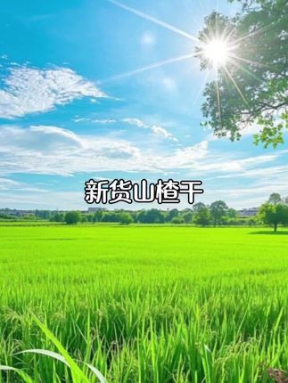农家高品质山楂干