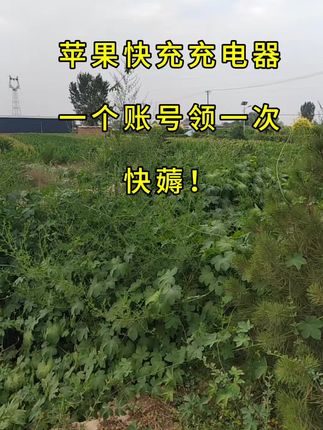 #苹果快充 #苹果快充套装 #快充