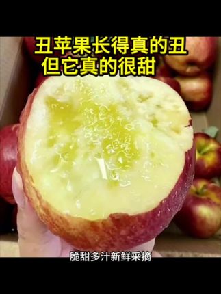 云南昭通丑苹果上市啦#丑苹果 #新鲜应季水果 #新鲜采摘