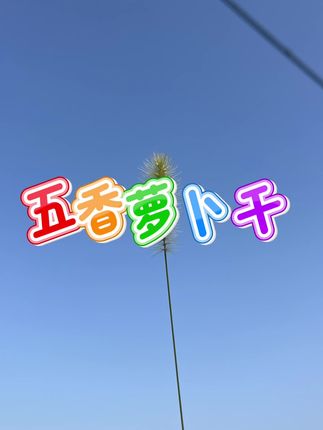 五香萝卜干 #萝卜干 #五香萝卜干 #传统萝卜干 #安徽特产
