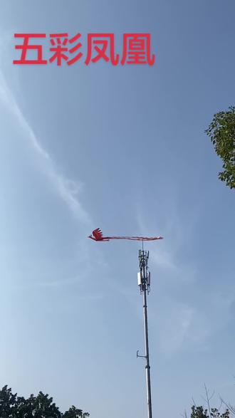 油田强哥摔跤舞台元月8号挪到油田国宾中心北边了