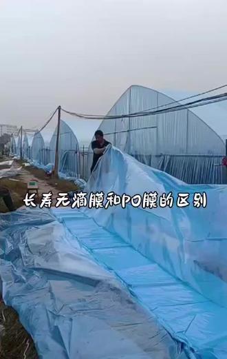 长寿无滴膜和PO膜的区别…