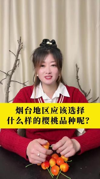 烟台地区应该选择什么样的樱桃品种呢?#大樱桃种植管理 #樱桃品种 #樱桃种植 #三农 #抖音助农