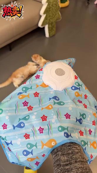 猫咪对于捕猎游戏真的是毫无抵抗力! #逗猫 #猫玩具 #宠物玩具 #捕猎罩