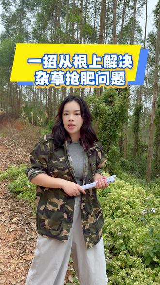 杂草抢肥=少收三成木材,一招从根上解决 #除草 #薇甘菊 #桉树种植 #草乙疏 #惠旺尔