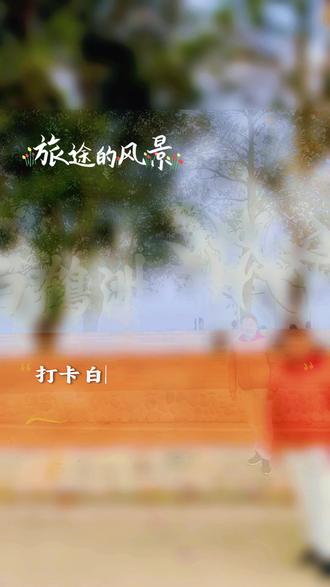 看鸟去#中国候鸟小镇 #白鹤洲#2025.12.2