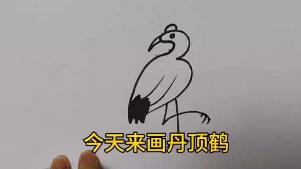 丹顶鹤来吧,一起画起来!简单!!