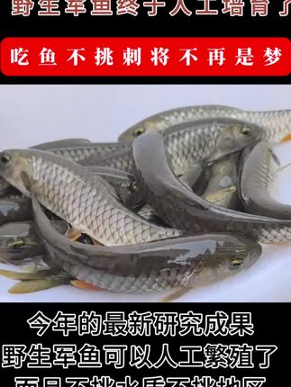 钓友们羡慕吗?#水产养殖 #养鱼 #钓大鱼 #鱼