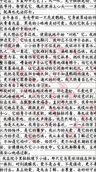 小学六年级下册三单元作文例文《让真情自然流露-愧疚》#作文范文 #写作技巧 #小学作文 #作文素材 #伙伴计划