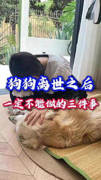 狗狗去世以后该怎么做#养狗经验分享 #养狗小知识 #宠物冷知识 #养狗日常 #养狗人