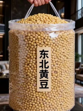 #东北黄豆 #黄豆#黄豆焖猪蹄 #强烈推荐 #五谷杂粮