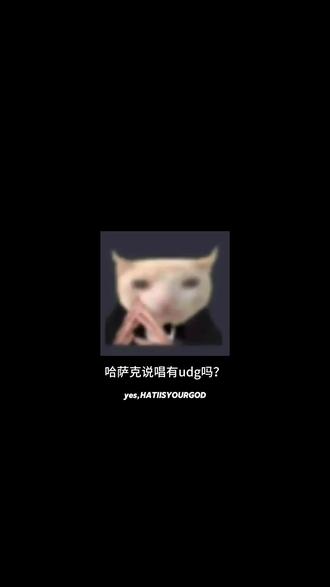 新疆udg你走起吧!#kz #udg #hiphop #歌曲推荐