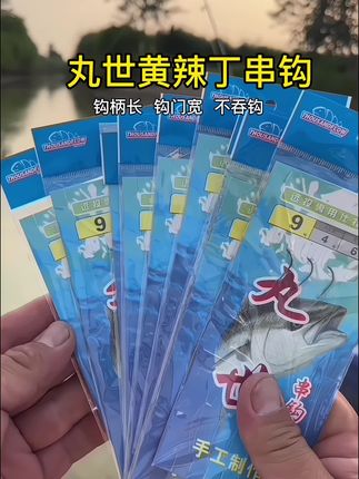 钓黄辣丁选9/11号钩。#黄辣丁串钩 #串钩 #三钩串钩 #丸世串钩 #防缠绕串钩