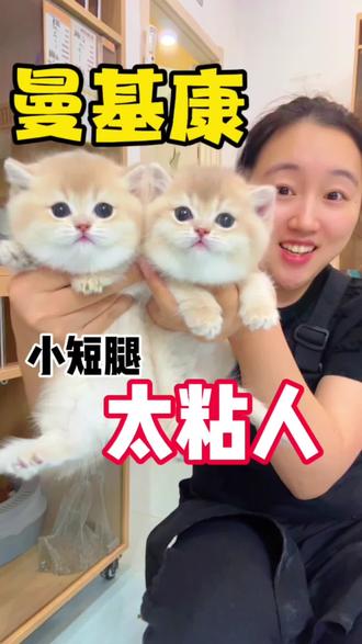 区别太大了!竟然长这样! #日常vlog #日常唠嗑 #知识分享 #科普