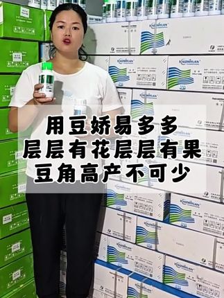 用豆娇易多多,满架后层层有花,层层有果,豆角高产不可少#豆角种植 #豆角高产技术 #豆种植技术