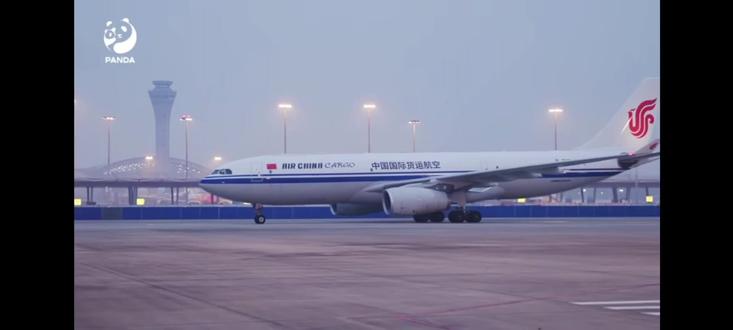 旅居法国十三载的欢欢 园仔回家啦!