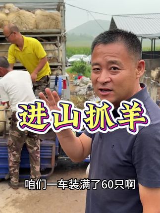 #老百姓的平凡生活 #小市四季羊汤 #农村养羊人 进村抓跑山羊!