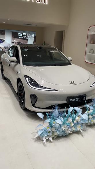 外后视镜调节#智己#智己汽车#智己l6