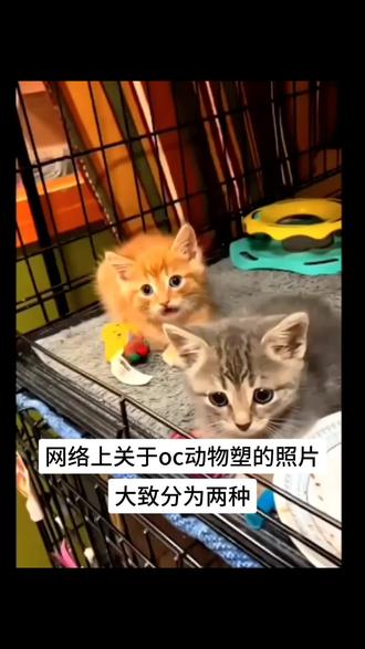 不错不错#oc#动物美学#动物#蛇鹫#动物塑