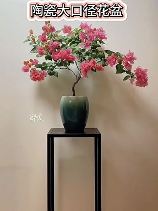 多肉花盆陶瓷大口径龙蛋盆简约室内三角梅植物紫砂粗陶老桩透气盆#花瓶摆件 #花盆 #紫砂粗陶透气花盆 #多肉陶瓷花盆 #好物推荐🔥