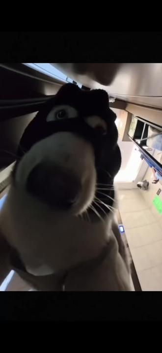 还有谁不会用豆包给简笔画上色呀,生成的图片太治愈了#豆包ai #豆包出大片有两把刷子#豆包上色 #简笔画#治愈