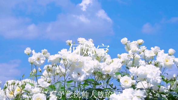 为你加冕,谭浮#废材又怎么样照样吊打你#谭浮 #大女主#小说 音频来源ks:爱落流水桥旁. 侵权可删