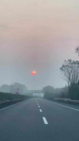 马在奔跑,熊猫在躺平,而我在看画里的人生。#画动物